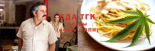 хмурый Алексин