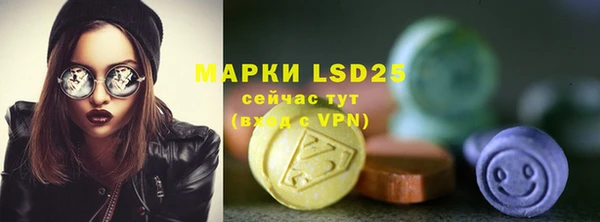 хмурый Алексин