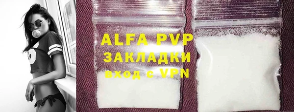 стафф Алзамай