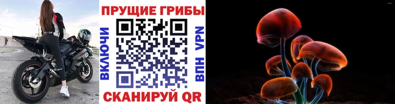 Псилоцибиновые грибы Magic Shrooms Комсомольск